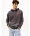 Tommy Jeans Hoodie Washed