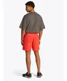 Tommy Jeans Joggingshort Flag Beach