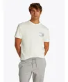 Tommy Jeans T-shirt Paileys Flag