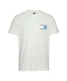 Tommy Jeans T-shirt Paileys Flag