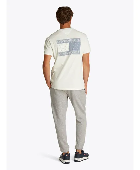 Tommy Jeans T-shirt Paileys Flag