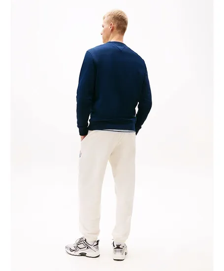 Tommy Jeans Trui Badge