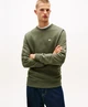 Tommy Jeans Trui Badge