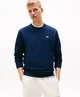 Tommy Jeans Trui Badge