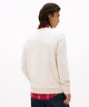 Tommy Jeans Trui Flag