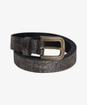 Trezz Riem