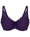 Triumph Minimizer BH Amourette W01