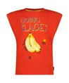 Vingino T-shirt Holisa